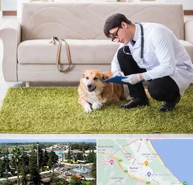 دامپزشکی در منزل در رودسر