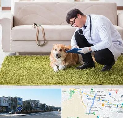 دامپزشکی در منزل در شریعتی مشهد