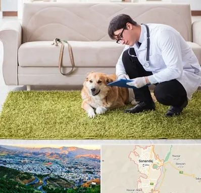 دامپزشکی در منزل در سنندج