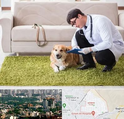 دامپزشکی در منزل در عظیمیه کرج 