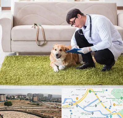 دامپزشکی در منزل در کوی وحدت شیراز