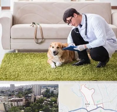 دامپزشکی در منزل در اوین