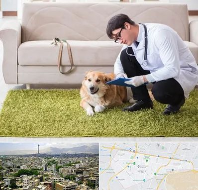 دامپزشکی در منزل در منطقه 8 تهران 