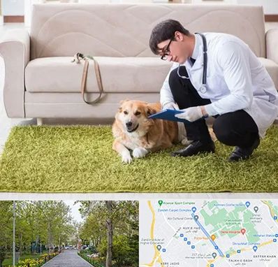 دامپزشکی در منزل در قدوسی غربی شیراز