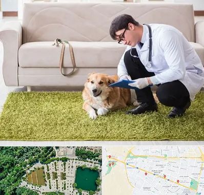 دامپزشکی در منزل در وکیل آباد مشهد 