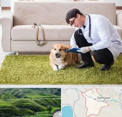 دامپزشکی در منزل در گچساران