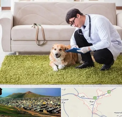 دامپزشکی در منزل در بیجار