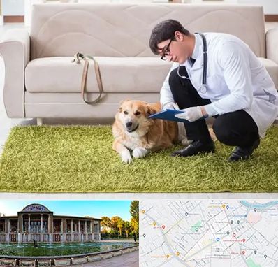 دامپزشکی در منزل در عفیف آباد شیراز