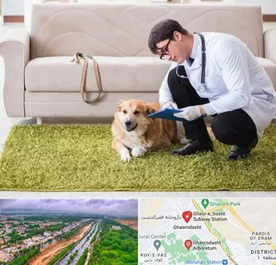 دامپزشکی در منزل در قصرالدشت شیراز