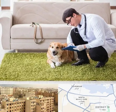 دامپزشکی در منزل در جنوب غرب تهران