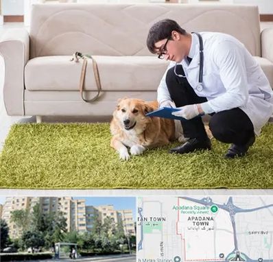 دامپزشکی در منزل در آپادانا