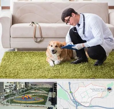 دامپزشکی در منزل در مرزداران تبریز