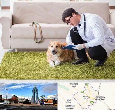 دامپزشکی در منزل در تایباد