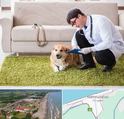 دامپزشکی در منزل در محمودآباد