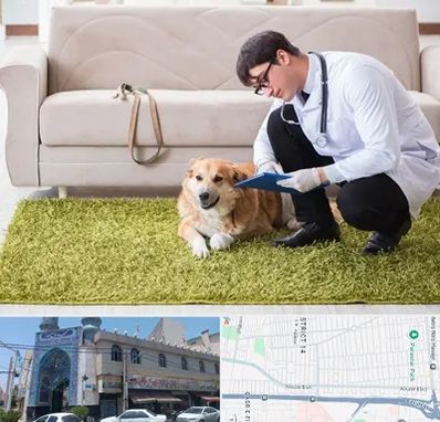 دامپزشکی در منزل در بلوار ابوذر