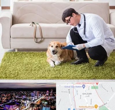 دامپزشکی در منزل در گلسار رشت 