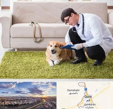دامپزشکی در منزل در قم