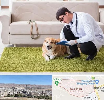 دامپزشکی در منزل در شهرک گلستان شیراز