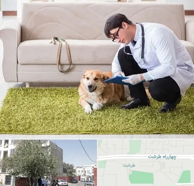 دامپزشکی در منزل در طرشت