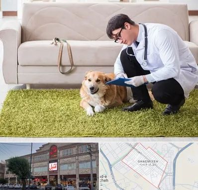 دامپزشکی در منزل در قائمیه اسلامشهر