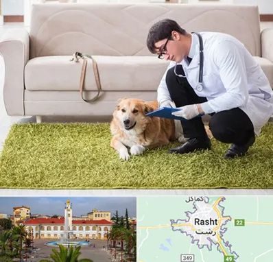 دامپزشکی در منزل در رشت