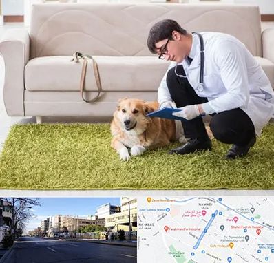 دامپزشکی در منزل در خیابان ملاصدرا شیراز