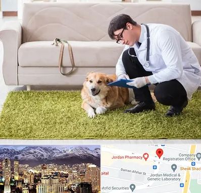 دامپزشکی در منزل در جردن 