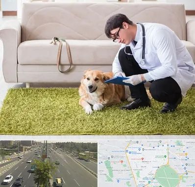 دامپزشکی در منزل در منطقه 17 تهران 