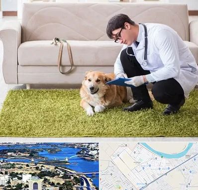 دامپزشکی در منزل در کوروش اهواز