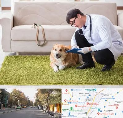 دامپزشکی در منزل در شریعتی 