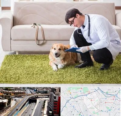 دامپزشکی در منزل در ستارخان شیراز