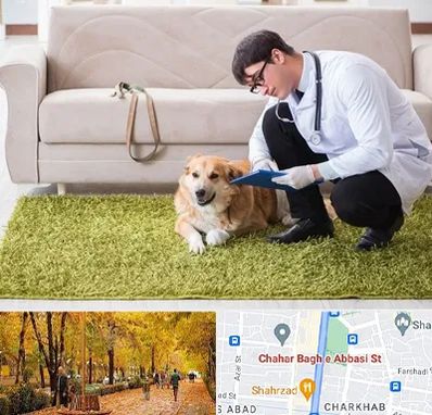 دامپزشکی در منزل در چهارباغ اصفهان