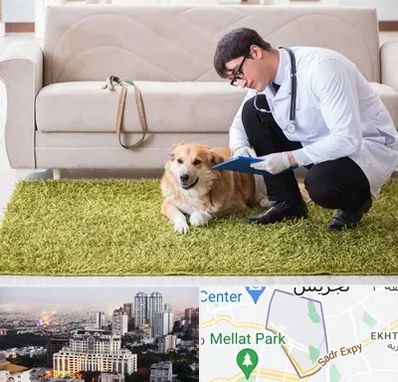 دامپزشکی در منزل در الهیه 