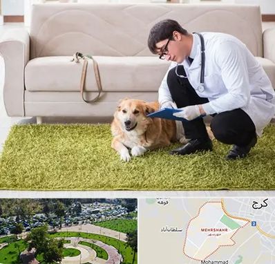 دامپزشکی در منزل در مهرشهر کرج 