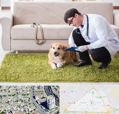 دامپزشکی در منزل در قاسم آباد مشهد 