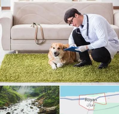 دامپزشکی در منزل در رویان