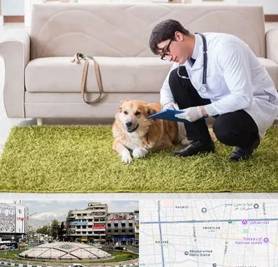 دامپزشکی در منزل در مرکز تهران