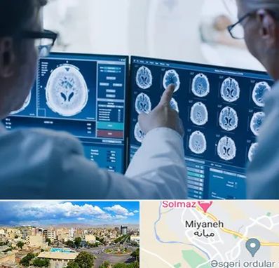 تصویر برداری شبانه روزی در میانه