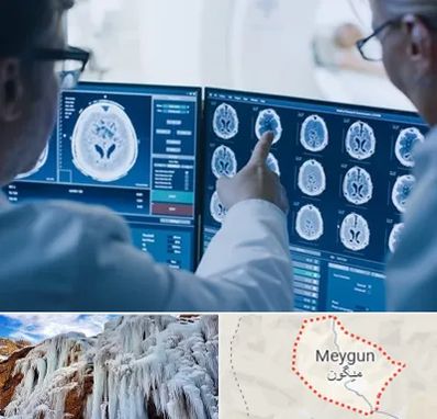 تصویر برداری شبانه روزی در میگون