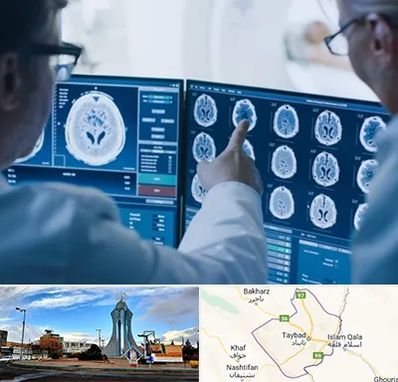 تصویر برداری شبانه روزی در تایباد