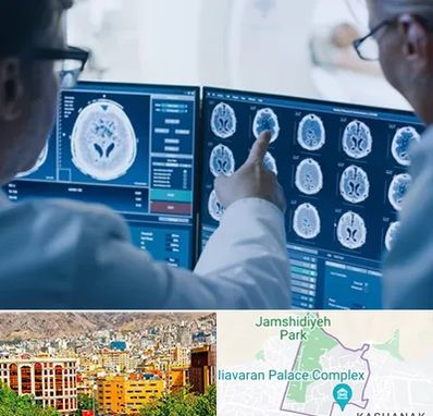 تصویر برداری شبانه روزی در نیاوران 