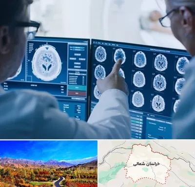 تصویر برداری شبانه روزی در خراسان شمالی