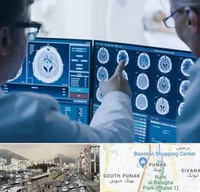 تصویر برداری شبانه روزی در پونک 