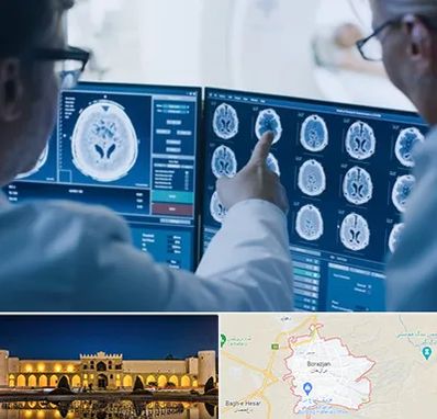 تصویر برداری شبانه روزی در برازجان