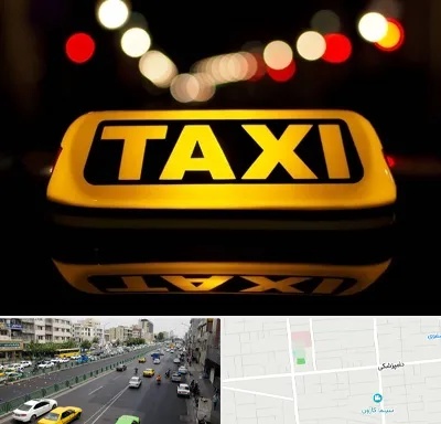 تاکسی تلفنی در خیابان دامپزشکی