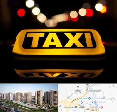 تاکسی تلفنی در المپیک 