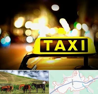 تاکسی تلفنی شبانه روزی در تالش