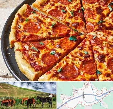 پیتزا سلف سرویس در تالش