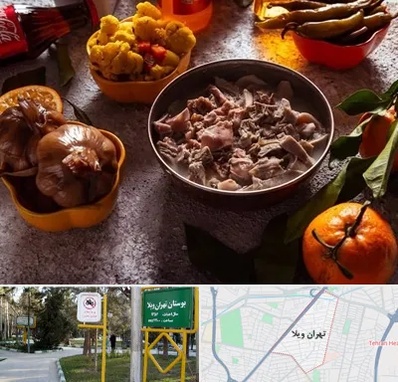 طباخی در تهران ویلا