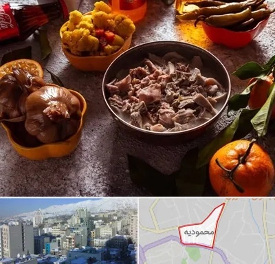 طباخی در محمودیه